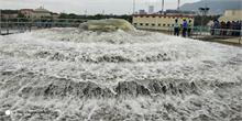 Water_Plant_18 (1)